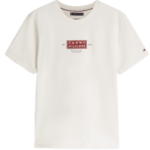 Tommy Hilfiger ανδρικό t-shirt με τύπωμα MW0MW42392