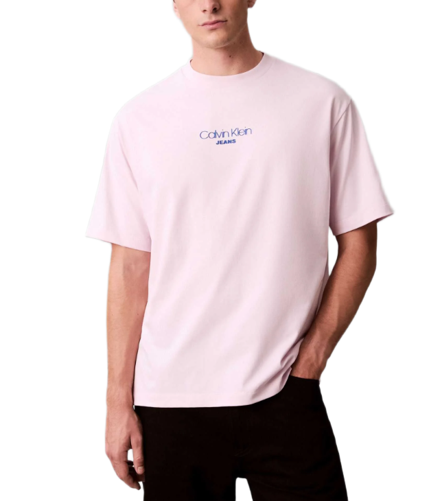 Calvin Klein ανδρικό t-shirt  LV04RC851G