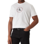 Calvin Klein ανδρικό t-shirt με τύπωμα LV14RE816G
