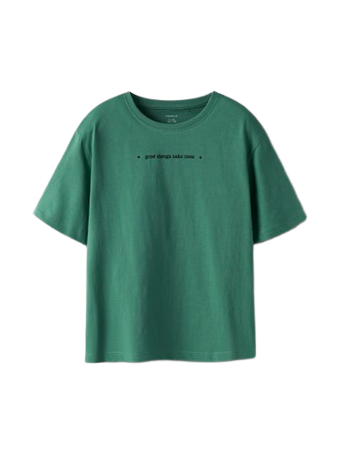 Name It παιδικό t-shirt για αγόρι με τύπωμα 13250961