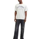 Jack & Jones ανδρικό t-shirt με τύπωμα 12291213