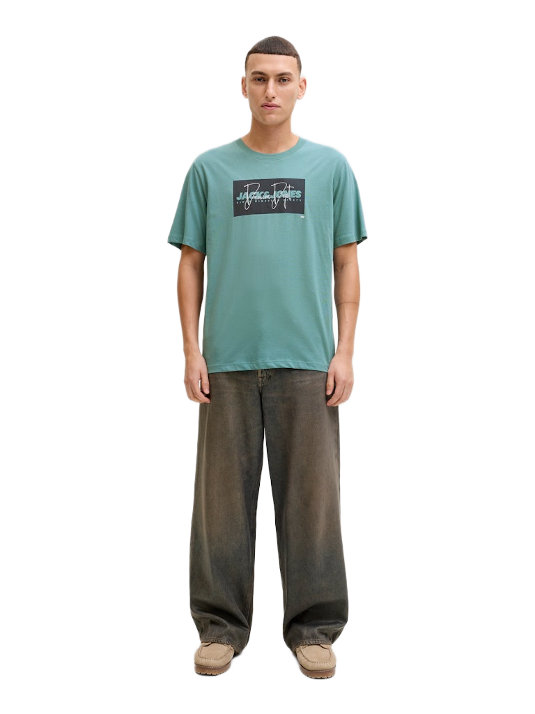 Jack & Jones ανδρικό t-shirt με τύπωμα 12288492