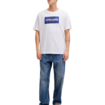 Jack & Jones ανδρικό t-shirt με τύπωμα 12288492