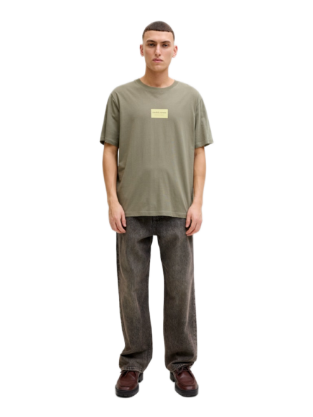 Jack & Jones ανδρικό t-shirt με τύπωμα 12288092