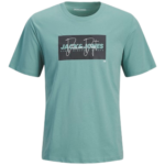 Jack & Jones παιδικό t-shirt για αγόρι με λογότυπο 12289944