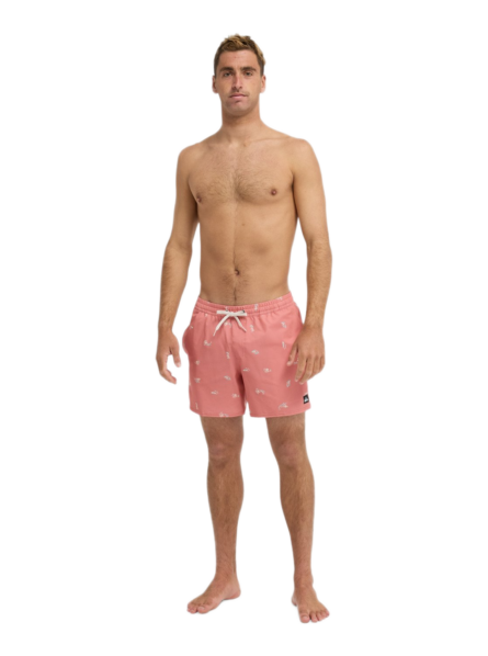 Quiksilver ανδρικό μαγιό βερμούδα EQYJV04217
