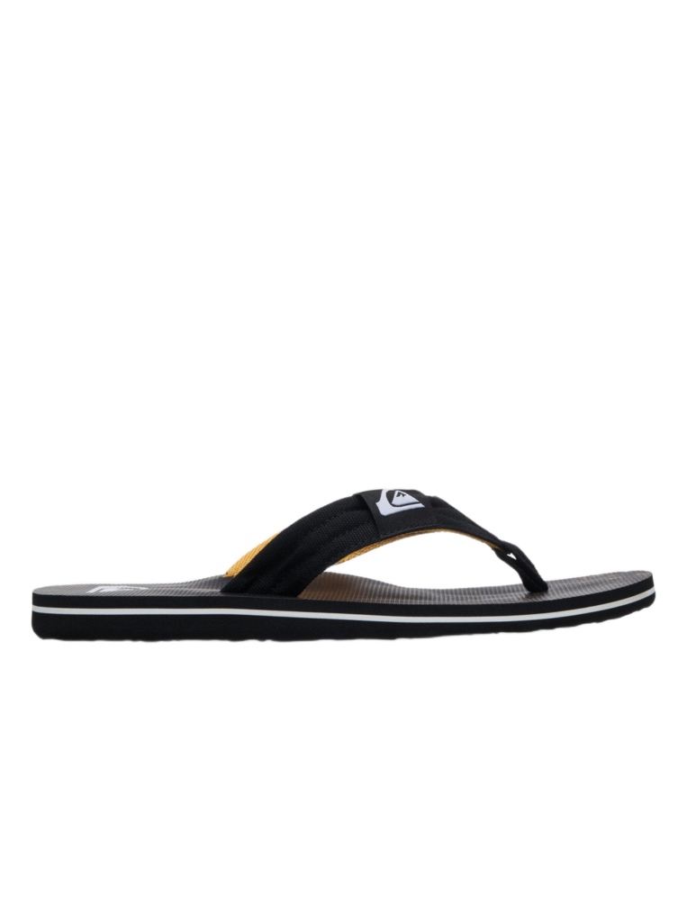 Quiksilver ανδρικές ανατομικές σαγιονάρες EQYL100093