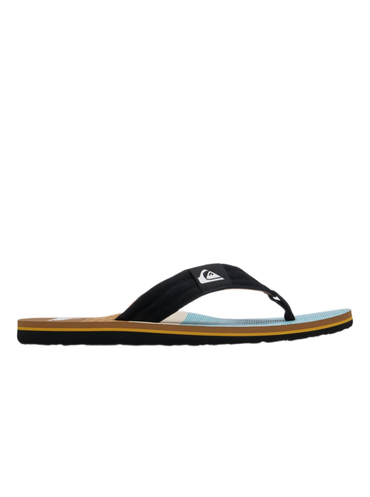 Quiksilver ανδρικές ανατομικές σαγιονάρες EQYL100093