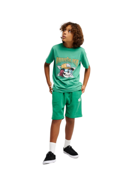 Quiksilver παιδική αθλητική βερμούδα EQBFB03174