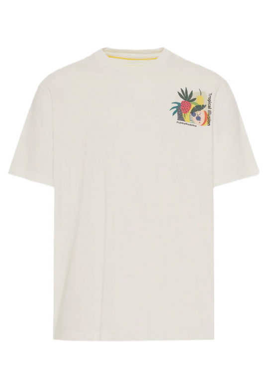Funky Buddha ανδρικό t-shirt relaxed fit με τύπωμα FBM013-079-04