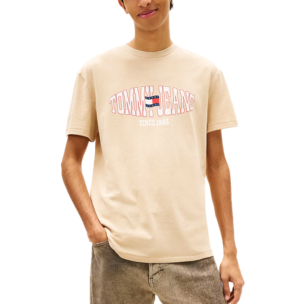 Tommy Hilfiger Wavy Flag Jersey ανδρικό t-shirt DM0DM22520