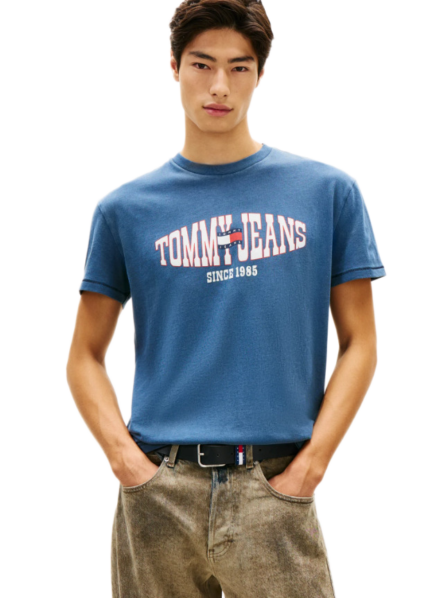 Tommy Hilfiger Wavy Flag Jersey ανδρικό t-shirt DM0DM22520
