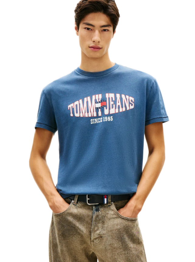 Tommy Hilfiger Wavy Flag Jersey ανδρικό t-shirt DM0DM22520