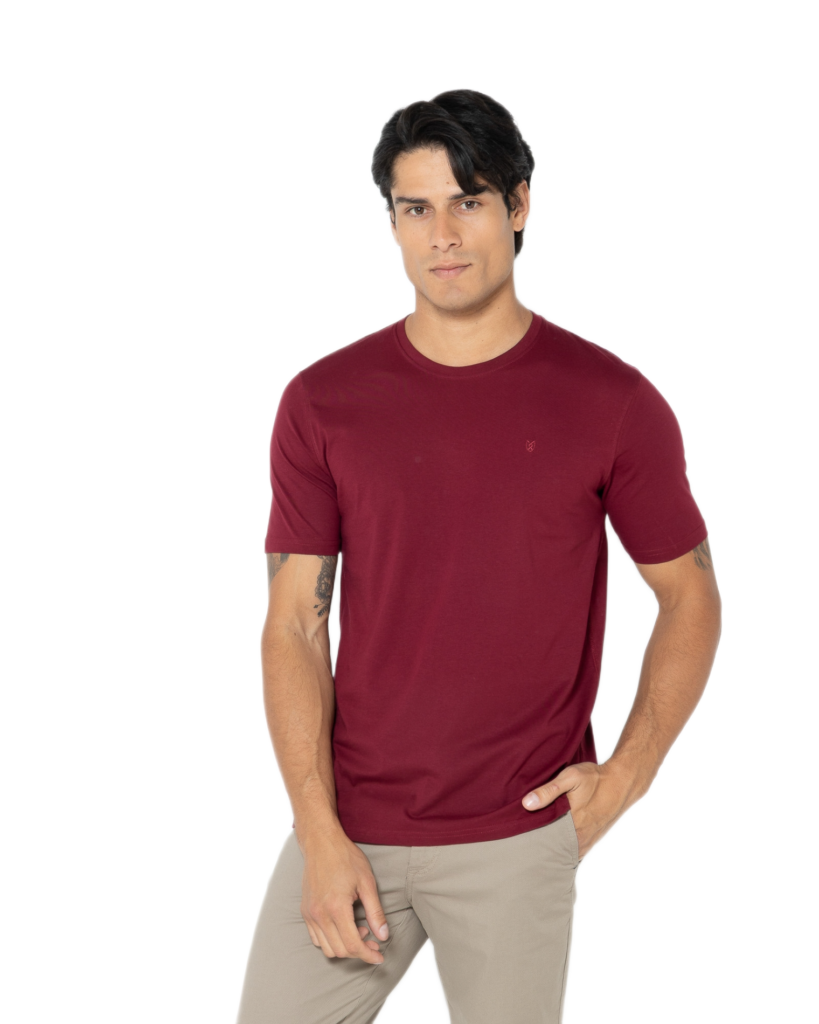 The Bostonians ανδρικό t-shirt κοντομάνικο regular fit 3TS1241N