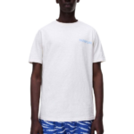 Napapijri ανδρικό t-shirt με λογότυπο NP0A4HZYN1A1