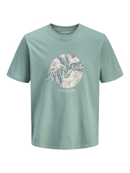Jack & Jones ανδρικό t-shirt με τύπωμα 12288088
