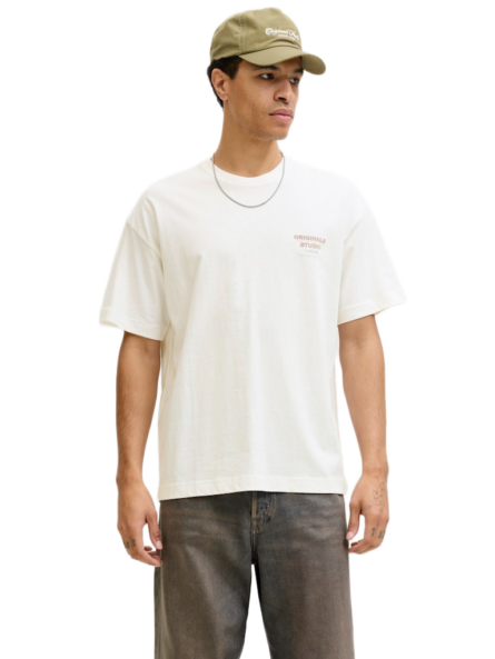 Jack & Jones ανδρικό t-shirt με τύπωμα 12291667