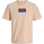 Jack & Jones ανδρικό t-shirt με τύπωμα 12290856