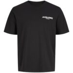 Jack & Jones παιδικό t-shirt για αγόρι με λογότυπο 12302724